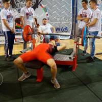 World Champions Cup WPA/AWPA - Moscow Armlifting Cup WAA - 2017 (Фото №#0050)