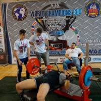 World Champions Cup WPA/AWPA - Moscow Armlifting Cup WAA - 2017 (Фото №#0126)