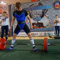 World Champions Cup WPA/AWPA - Moscow Armlifting Cup WAA - 2017 (Фото №#0176)