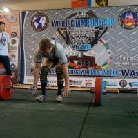 World Champions Cup WPA/AWPA - Moscow Armlifting Cup WAA - 2017 (Фото №#0210)