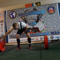World Champions Cup WPA/AWPA - Moscow Armlifting Cup WAA - 2017 (Фото №#0263)