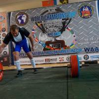 World Champions Cup WPA/AWPA - Moscow Armlifting Cup WAA - 2017 (Фото №#0271)