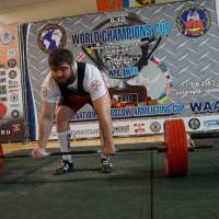 World Champions Cup WPA/AWPA - Moscow Armlifting Cup WAA - 2017 (Фото №#0284)