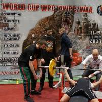 WORLD CUP WPC/AWPC/WAA - часть 2 (Фото №#1347)