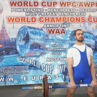 WORLD CUP WPC/AWPC/WAA - 2018 (Фото №#0261)
