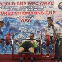 WORLD CUP WPC/AWPC/WAA - 2018 (Фото №#0336)