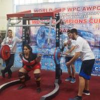 WORLD CUP WPC/AWPC/WAA - 2018 (Фото №#0349)