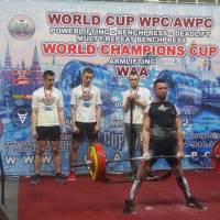 WORLD CUP WPC/AWPC/WAA - 2018 (Фото №#0452)