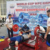 WORLD CUP WPC/AWPC/WAA - 2018 (Фото №#0478)