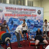 WORLD CUP WPC/AWPC/WAA - 2018 (Фото №#0598)