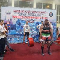 WORLD CUP WPC/AWPC/WAA - 2018 (Фото №#0666)