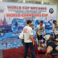 WORLD CUP WPC/AWPC/WAA - 2018 (Фото №#0822)
